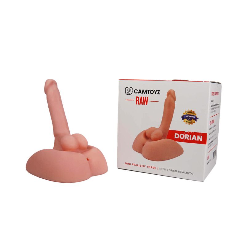 MINI TORSO DORIAN RAW CAMTOYS - Imagen 4