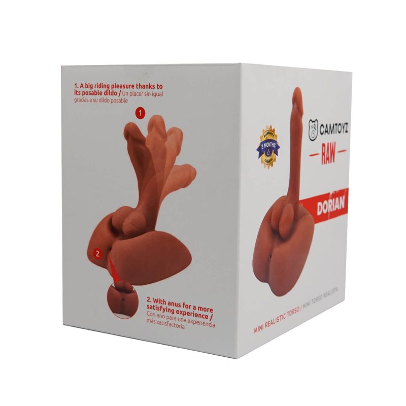 MINI TORSO DORIAN RAW CAMTOYS - Imagen 3